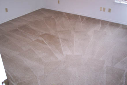 carpet cleaning 15